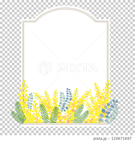 ミモザの花のベクター素材イラスト ミモザの花のベクター素材イラスト 120671697