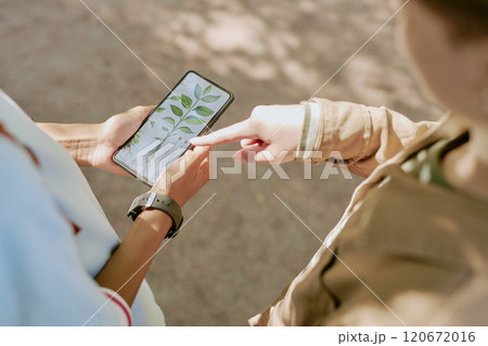 High angle of two unrecognizable boys studying plants using smartphone while standing outdoors High angle of two unrecognizable boys studying plants using smartphone while standing outdoors 120672016