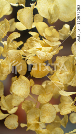 Freeze motion of flying fried potatoes chips on gradient yellow background Freeze motion of flying fried potatoes chips on gradient yellow background 120672062