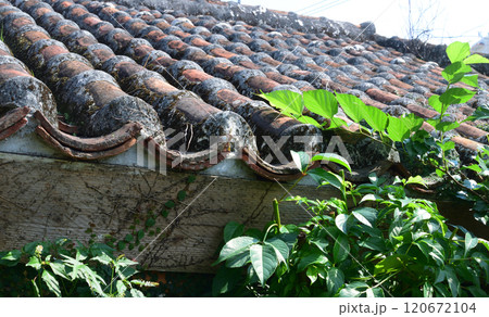 壺屋の瓦屋根 那覇、沖縄 壺屋の瓦屋根 那覇、沖縄 120672104