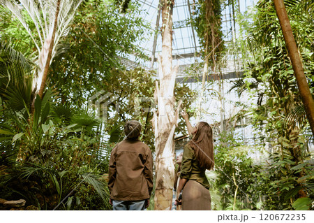 Rear view of unrecognizable female botanical garden worker showing tree growing in greenhouse to teen visitor, copy space 120672235