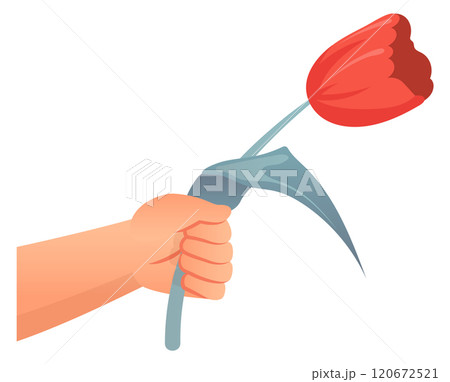 Hand give tulip. Romantic gift. Floral present Hand give tulip. Romantic gift. Floral present 120672521