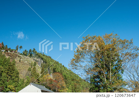 秋の鞍馬山風景 京都市 秋の鞍馬山風景 京都市 120673647