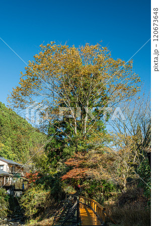 晩秋の鞍馬風景　京都市 120673648