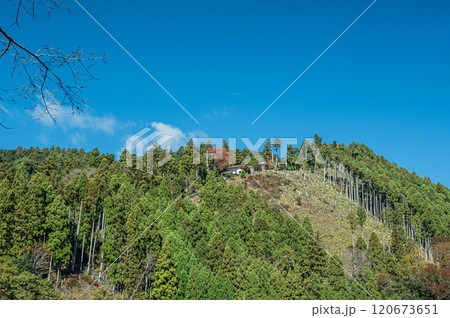 鞍馬の山林風景　京都市 120673651