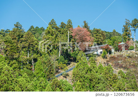 鞍馬の山林風景 京都市 鞍馬の山林風景 京都市 120673656
