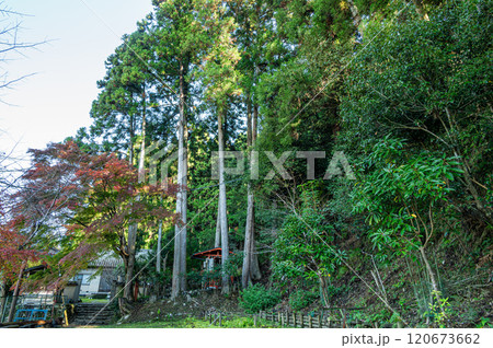 晩鞍馬の小さな公園　京都市 120673662