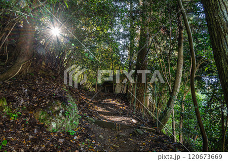 光射す森の中のハイキングコース　京都市鞍馬 120673669