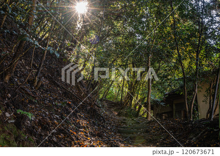光射す森の中のハイキングコース　京都市鞍馬 120673671