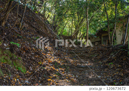 森の中のハイキングコース　京都市鞍馬 120673672