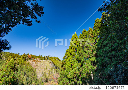 鞍馬の山林風景 京都市 鞍馬の山林風景 京都市 120673673