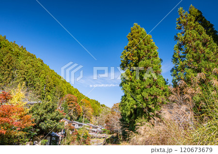 晩秋の鞍馬の山林風景　京都市 120673679
