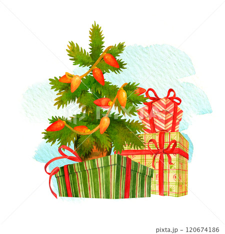 Christmas scene. Festive composition with fir and colorful gifts with ribbons and bows on isolated watercolor brush stroke background. Hand drawn illustration for winter holidays prints and designs 120674186