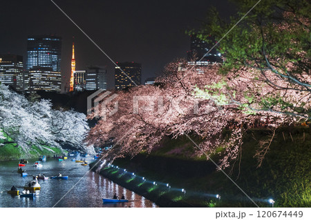 東京・千鳥ヶ淵の桜ライトアップイベント「千代田のさくらまつり」【東京都・千代田区】 東京・千鳥ヶ淵の桜ライトアップイベント「千代田のさくらまつり」【東京都・千代田区】 120674449