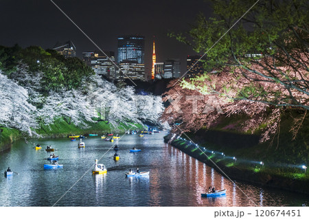 春の東京・千鳥ヶ淵の夜景 ライトアップされた美しい夜桜【東京都・千代田区】 春の東京・千鳥ヶ淵の夜景 ライトアップされた美しい夜桜【東京都・千代田区】 120674451