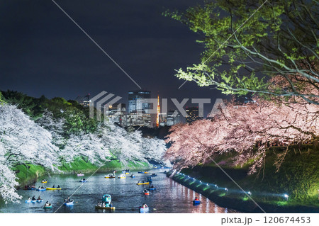 春の東京・千鳥ヶ淵の夜景　ライトアップされた満開の桜とビル群【東京都・千代田区】 120674453