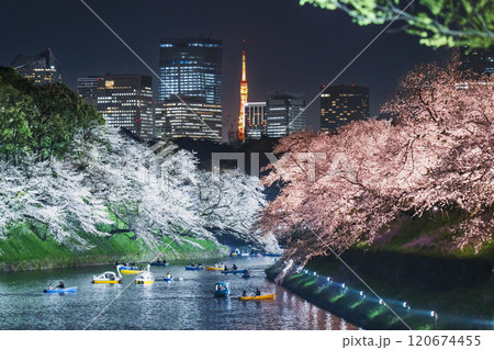 春の東京・千鳥ヶ淵の夜景 ライトアップされた満開の桜とビル群【東京都・千代田区】 春の東京・千鳥ヶ淵の夜景 ライトアップされた満開の桜とビル群【東京都・千代田区】 120674455
