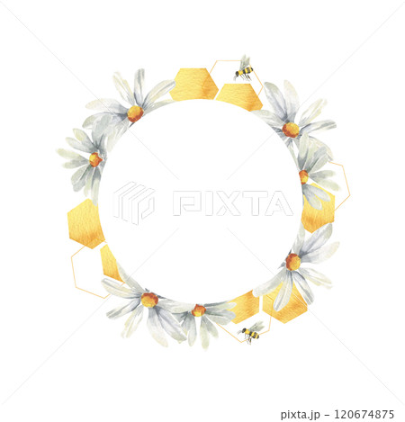 White daisy flowers with organic honeycombs watercolor wreath. Hand drawn round frame with liquid honey, chamomile and flying bees for product packing, kitchen textile and utensils design 120674875