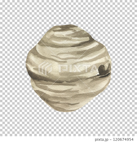 Beehive for beekeeping farm watercolor illustration. Hand drawn bee house, wild bees home clipart, isolated element for organic farm logo, eco food packing, beekeeper textile,poster design. Beehive for beekeeping farm watercolor illustration. Hand drawn bee house, wild bees home clipart, isolated element for organic farm logo, eco food packing, beekeeper textile,poster design. 120674954