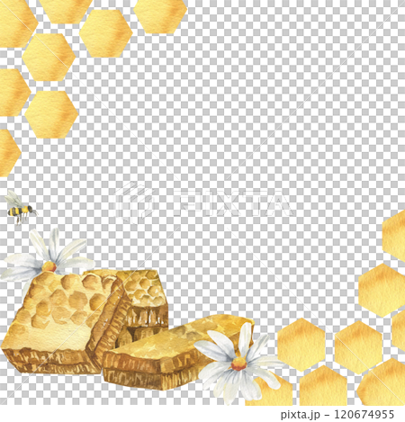 Organic honey watercolor square frame with honeycombs, chamomile flowers and bees. Hand drawn isolated template for eco farm food label, packing. Sweet snack for brunch menu design 120674955