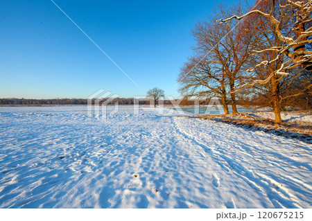 Snow-covered meadow with the sun rising, surrounded by trees, capturing a peaceful winter morning 120675215