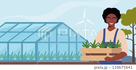Black woman farmer stands near greenhouse and holding box with seedlings in hands. Farming plant cultivation. Design for agriculture, horticulture or agronomy. Template for banner, poster. Vector. 120675641