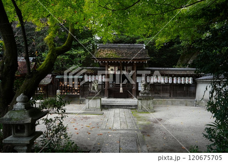 京都御苑の宗像神社 120675705
