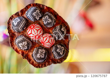 蓮の実　ちりめん細工 120675787