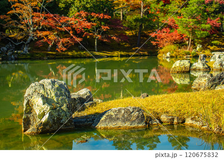 【京都風景】天龍寺　紅葉の池泉回遊式庭園 120675832