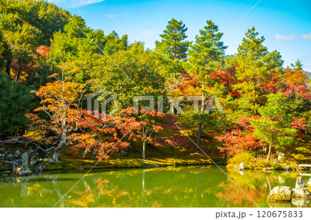 【京都風景】天龍寺　紅葉の池泉回遊式庭園 120675833