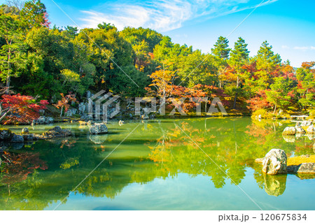 【京都風景】天龍寺　紅葉の池泉回遊式庭園 120675834