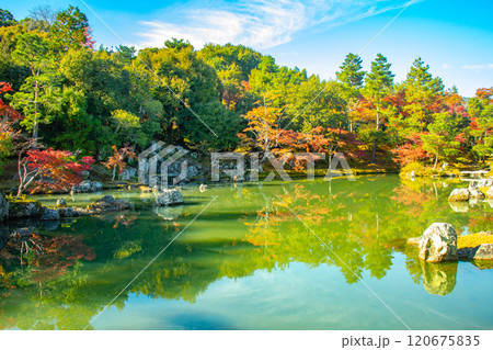 【京都風景】天龍寺 紅葉の池泉回遊式庭園 【京都風景】天龍寺 紅葉の池泉回遊式庭園 120675835