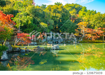 【京都風景】天龍寺　紅葉の池泉回遊式庭園 120675839