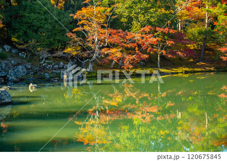 【京都風景】天龍寺　紅葉の池泉回遊式庭園 120675845