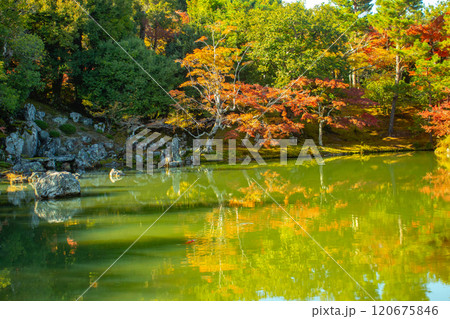 【京都風景】天龍寺　紅葉の池泉回遊式庭園 120675846