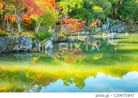 【京都風景】天龍寺 紅葉の池泉回遊式庭園 【京都風景】天龍寺 紅葉の池泉回遊式庭園 120675847
