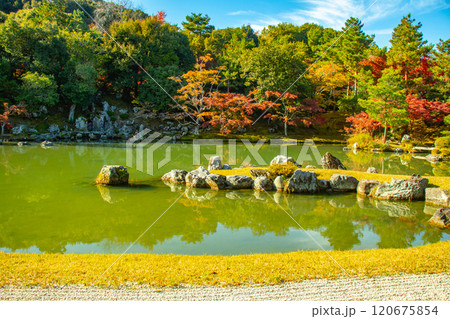 【京都風景】天龍寺　紅葉の池泉回遊式庭園 120675854