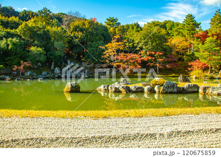 【京都風景】天龍寺　紅葉の池泉回遊式庭園 120675859