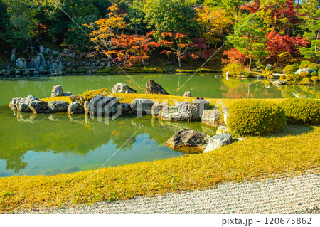 【京都風景】天龍寺 紅葉の池泉回遊式庭園 【京都風景】天龍寺 紅葉の池泉回遊式庭園 120675862