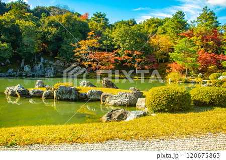 【京都風景】天龍寺 紅葉の池泉回遊式庭園 【京都風景】天龍寺 紅葉の池泉回遊式庭園 120675863