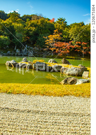 【京都風景】天龍寺　紅葉の池泉回遊式庭園 120675864