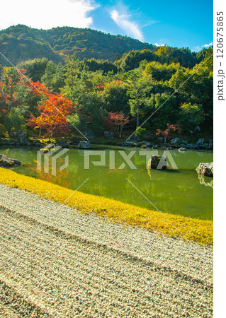 【京都風景】天龍寺 紅葉の池泉回遊式庭園 【京都風景】天龍寺 紅葉の池泉回遊式庭園 120675865