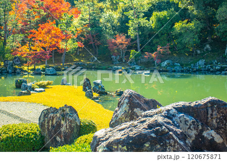 【京都風景】天龍寺 紅葉の池泉回遊式庭園 【京都風景】天龍寺 紅葉の池泉回遊式庭園 120675871