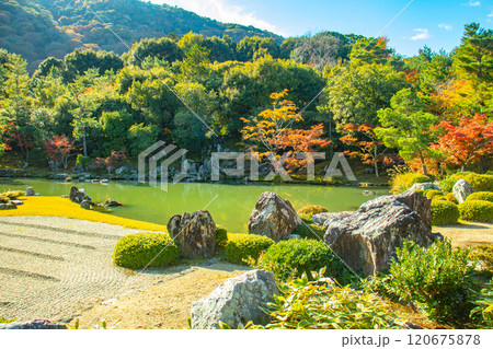 【京都風景】天龍寺　紅葉の池泉回遊式庭園 120675878