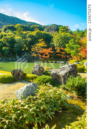 【京都風景】天龍寺　紅葉の池泉回遊式庭園 120675879