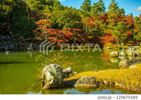 【京都風景】天龍寺　紅葉の池泉回遊式庭園 120675889