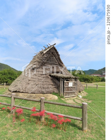 西播磨を代表する弥生時代集落、兵庫県たつの市新宮町にある新宮宮内遺跡、気持ち良い青空と遺跡、彼岸花 西播磨を代表する弥生時代集落、兵庫県たつの市新宮町にある新宮宮内遺跡、気持ち良い青空と遺跡、彼岸花 120675930