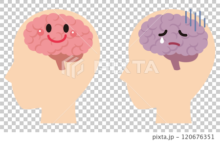 Healthy brain and stressed brain Brain image Health Healthy brain and stressed brain Brain image Health 120676351