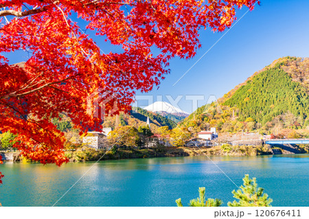 【神奈川県】丹沢湖・湖畔の紅葉と富士山遠望 120676411