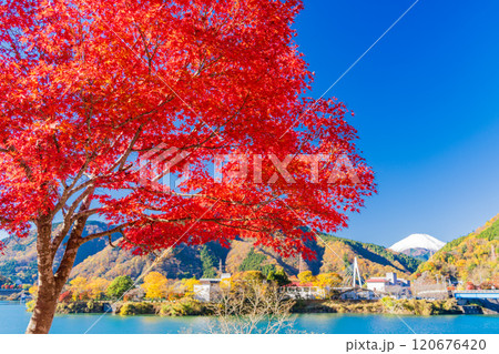 【神奈川県】丹沢湖・湖畔の紅葉と富士山遠望 120676420